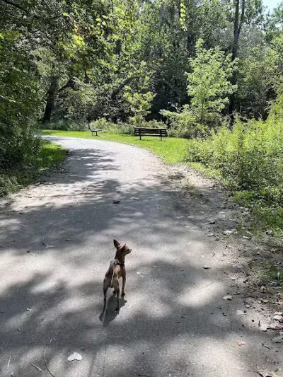 Clinton River Park North - Sterling Heights,