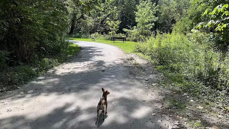 Clinton River Park North - Sterling Heights,