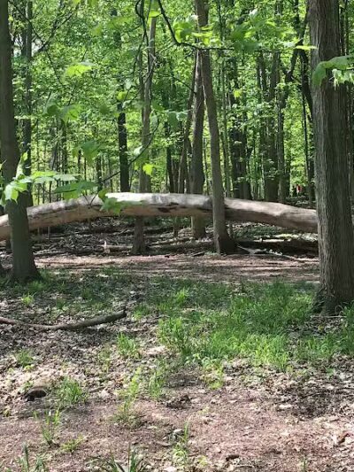 Clinton River Park North - Sterling Heights,