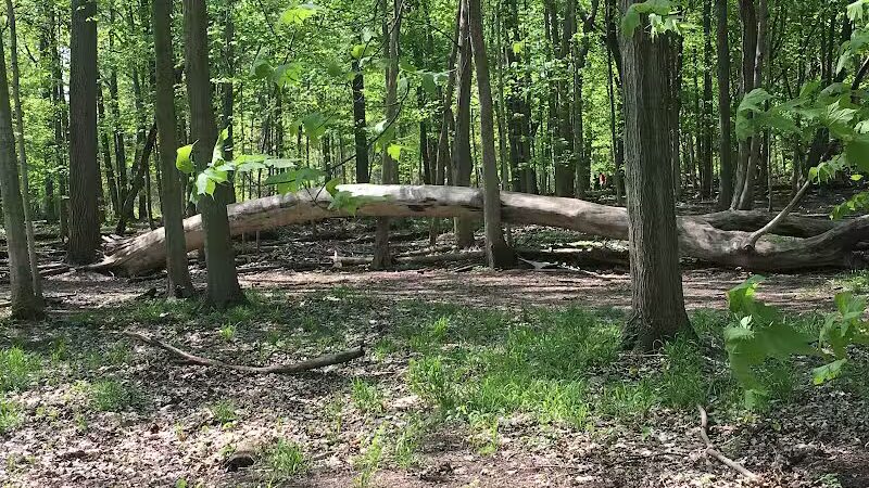 Clinton River Park North - Sterling Heights,