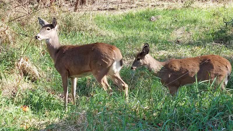 Clinton River Park North - Sterling Heights,