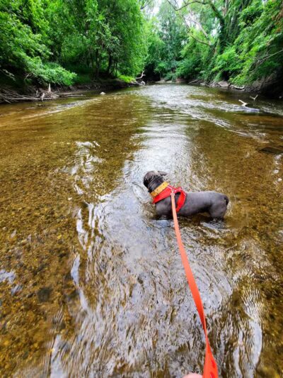 Dodge Park - Sterling Heights,
