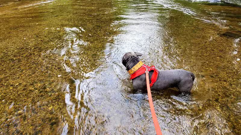 Dodge Park - Sterling Heights,