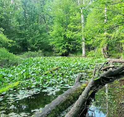 Farmstead Park - Sterling Heights,