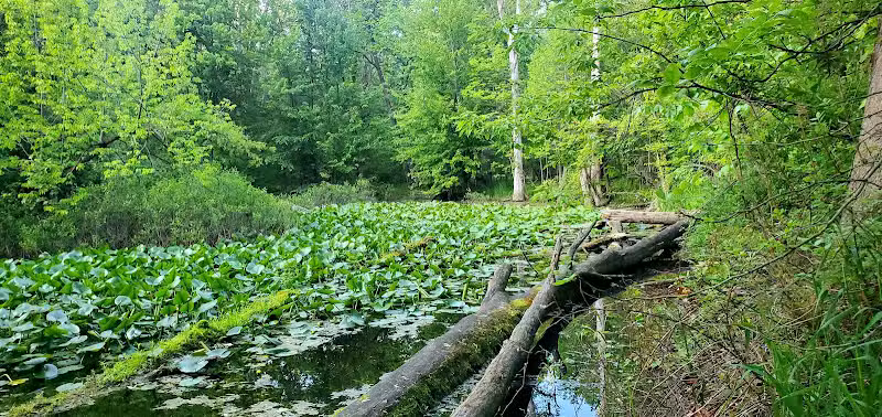 Farmstead Park - Sterling Heights,