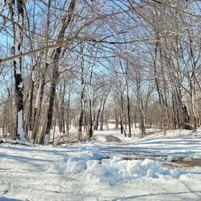 Gerald N Donovan Park (formerly Jaycee Park) - Sterling Heights,