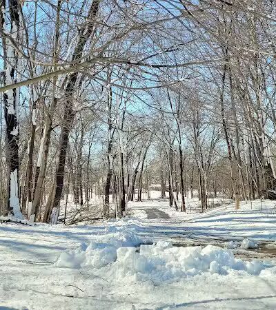 Gerald N Donovan Park (formerly Jaycee Park) - Sterling Heights,