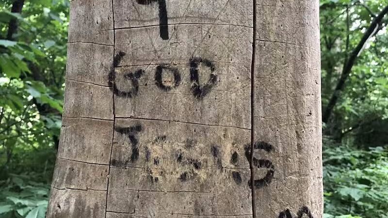 Gerald N Donovan Park (formerly Jaycee Park) - Sterling Heights,