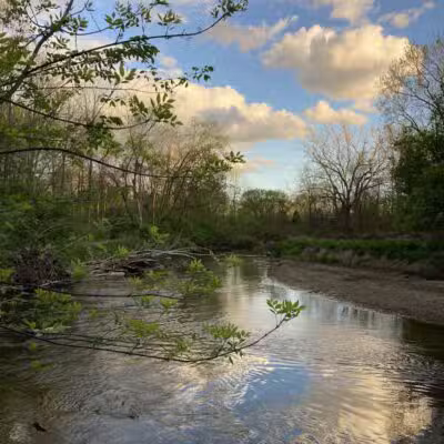 Gerald N Donovan Park (formerly Jaycee Park) - Sterling Heights,