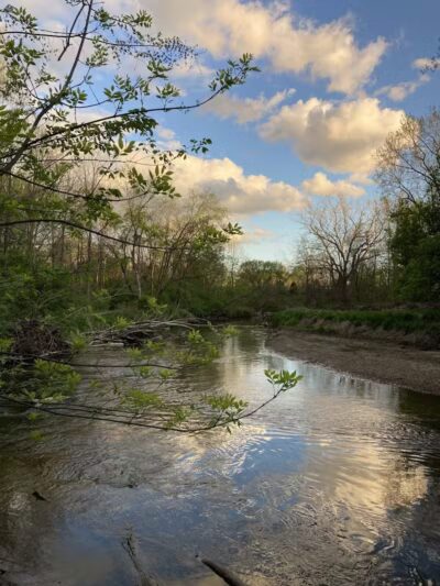 Gerald N Donovan Park (formerly Jaycee Park) - Sterling Heights,