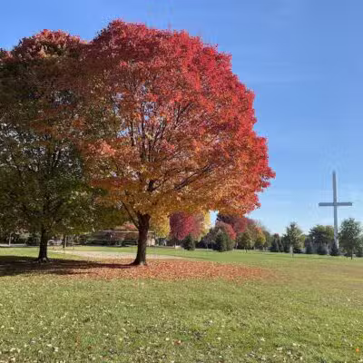Imus Park - Sterling Heights,