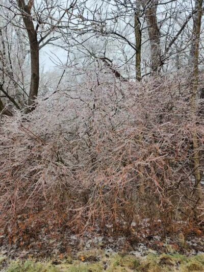 James C Nelson Park - Sterling Heights,