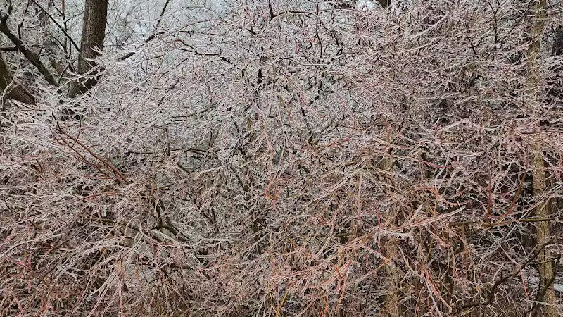 James C Nelson Park - Sterling Heights,