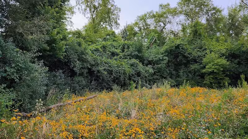 James C Nelson Park - Sterling Heights,
