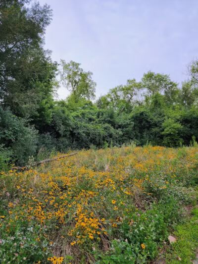James C Nelson Park - Sterling Heights,