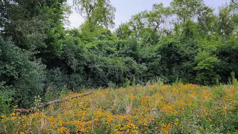 James C Nelson Park - Sterling Heights,