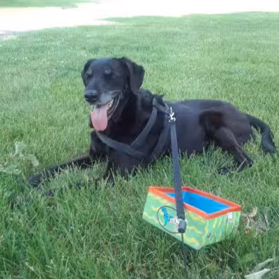 James C Nelson Park - Sterling Heights,