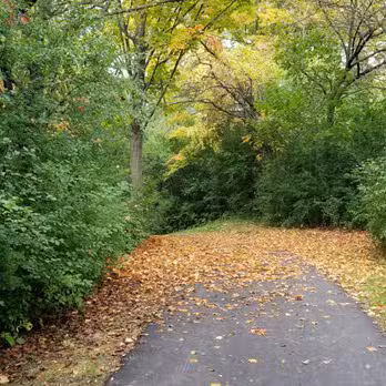 James C Nelson Park - Sterling Heights,