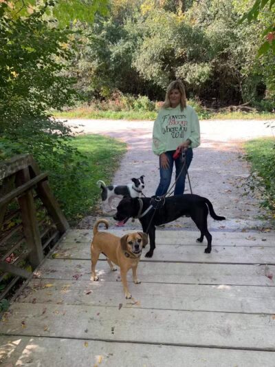 Joseph Delia Park, Tennis Court and Dog Park - Sterling Heights,