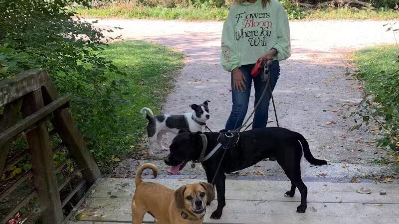 Joseph Delia Park, Tennis Court and Dog Park - Sterling Heights,