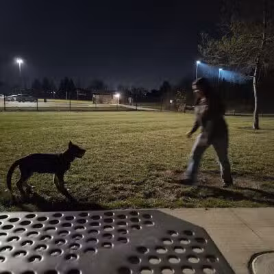 Joseph Delia Park, Tennis Court and Dog Park - Sterling Heights,