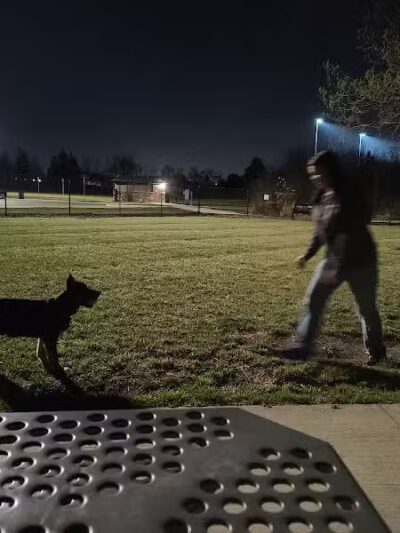 Joseph Delia Park, Tennis Court and Dog Park - Sterling Heights,