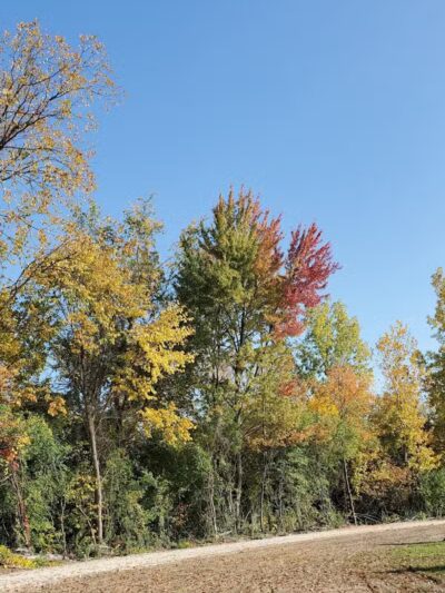 Joseph Delia Park, Tennis Court and Dog Park - Sterling Heights,
