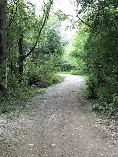 Joseph J. Delia Jr. Park - Sterling Heights,