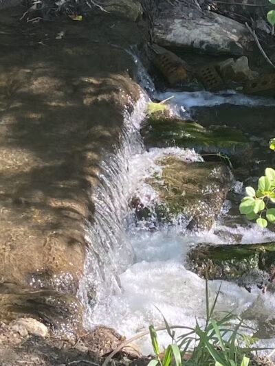 Joseph J. Delia Jr. Park - Sterling Heights,