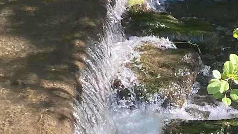 Joseph J. Delia Jr. Park - Sterling Heights,