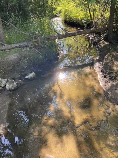 Joseph J. Delia Jr. Park - Sterling Heights,