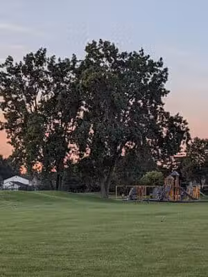 Arlingdale Park - Sterling Heights,