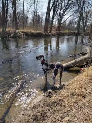 Clinton River Park North - Sterling Heights,