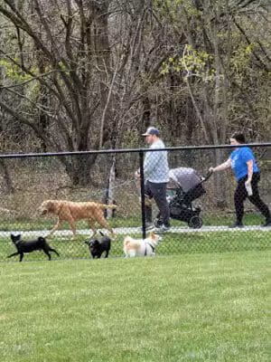 Joseph J. Delia Jr. Park - Sterling Heights,
