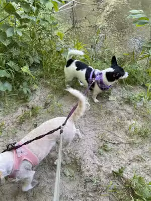 Trailhead - Sterling Heights,