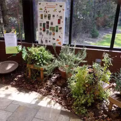 Sterling Heights Nature Center - Sterling Heights,
