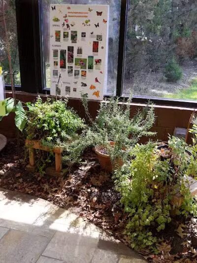 Sterling Heights Nature Center - Sterling Heights,