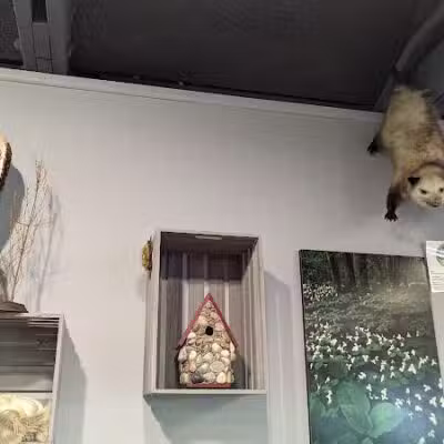 Sterling Heights Nature Center - Sterling Heights,