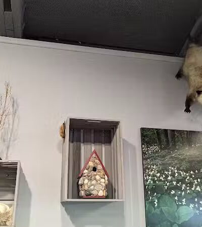 Sterling Heights Nature Center - Sterling Heights,