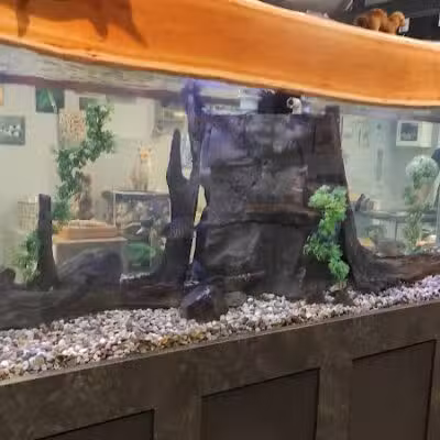 Sterling Heights Nature Center - Sterling Heights,