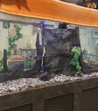 Sterling Heights Nature Center - Sterling Heights,