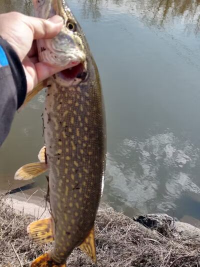 Sterling Heights Rotary Park - Sterling Heights,