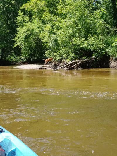 Sterling Heights Rotary Park - Sterling Heights,