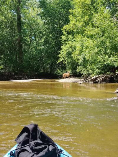 Sterling Heights Rotary Park - Sterling Heights,
