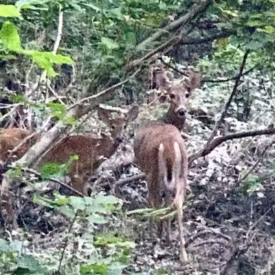 Trailhead - Sterling Heights,