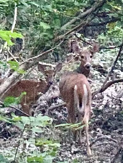 Trailhead - Sterling Heights,