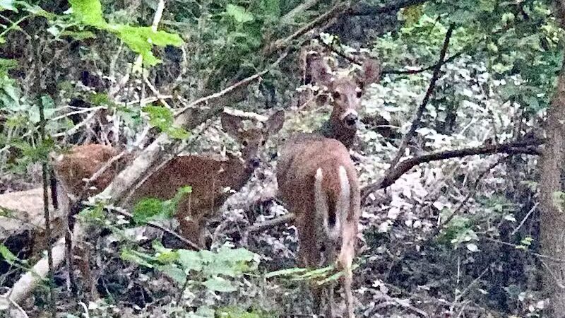 Trailhead - Sterling Heights,
