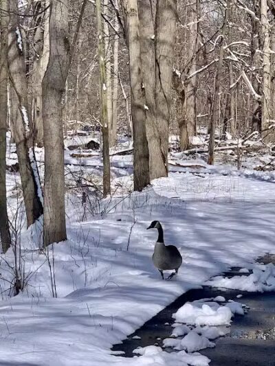 Trailhead - Sterling Heights,