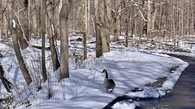 Trailhead - Sterling Heights,