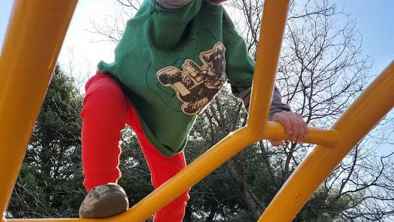 Washington Square Park - Sterling Heights,